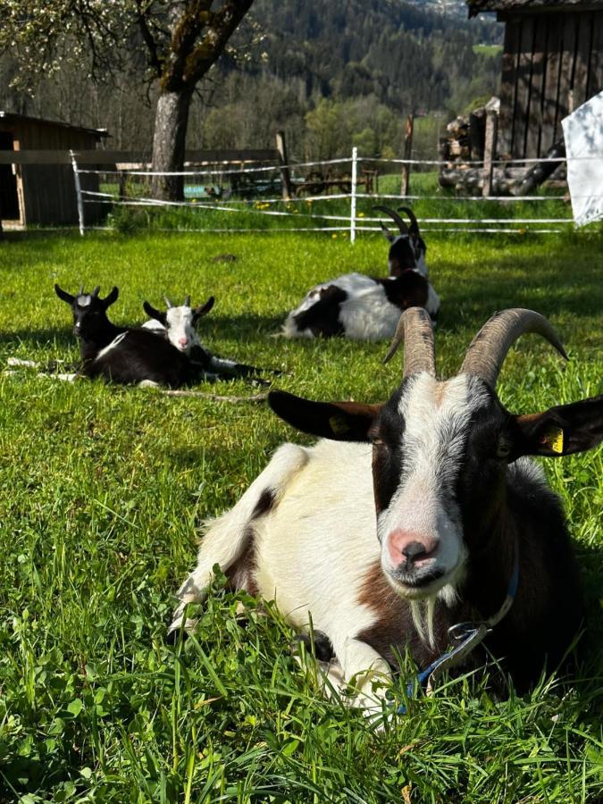 Kloeckhof Vakantieboerderij Aich (Styria)